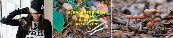 кокаин колумбия Алзамай